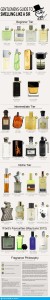 perfume infograph