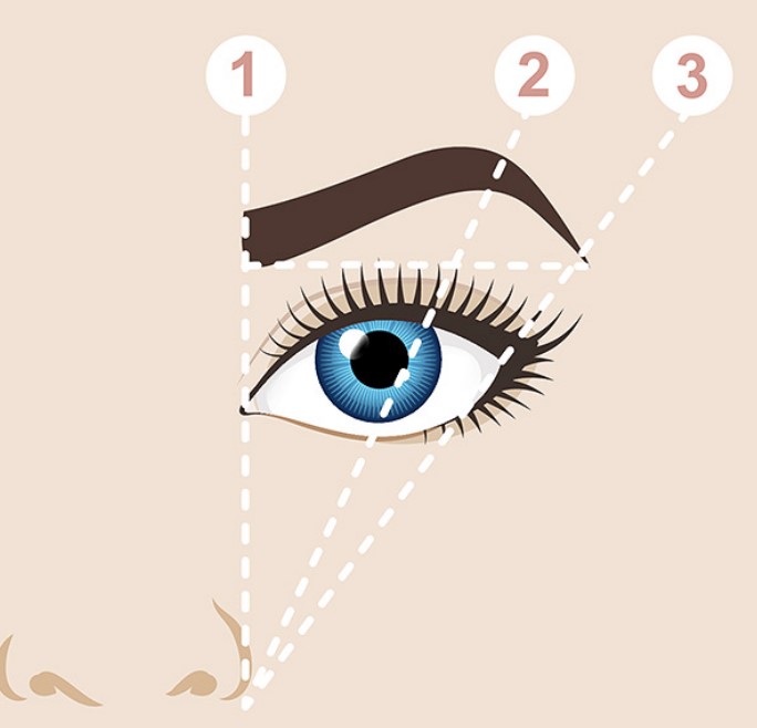 4 eyebrow shapes and a guide to achieving the right shape